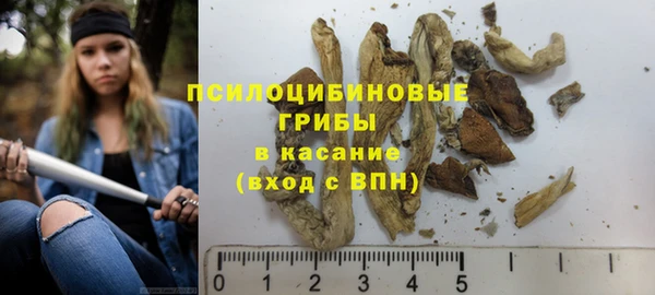 ПСИЛОЦИБИНОВЫЕ ГРИБЫ Абдулино
