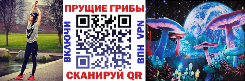 Галлюциногенные грибы MAGIC MUSHROOMS  цена наркотик  Тбилисская 